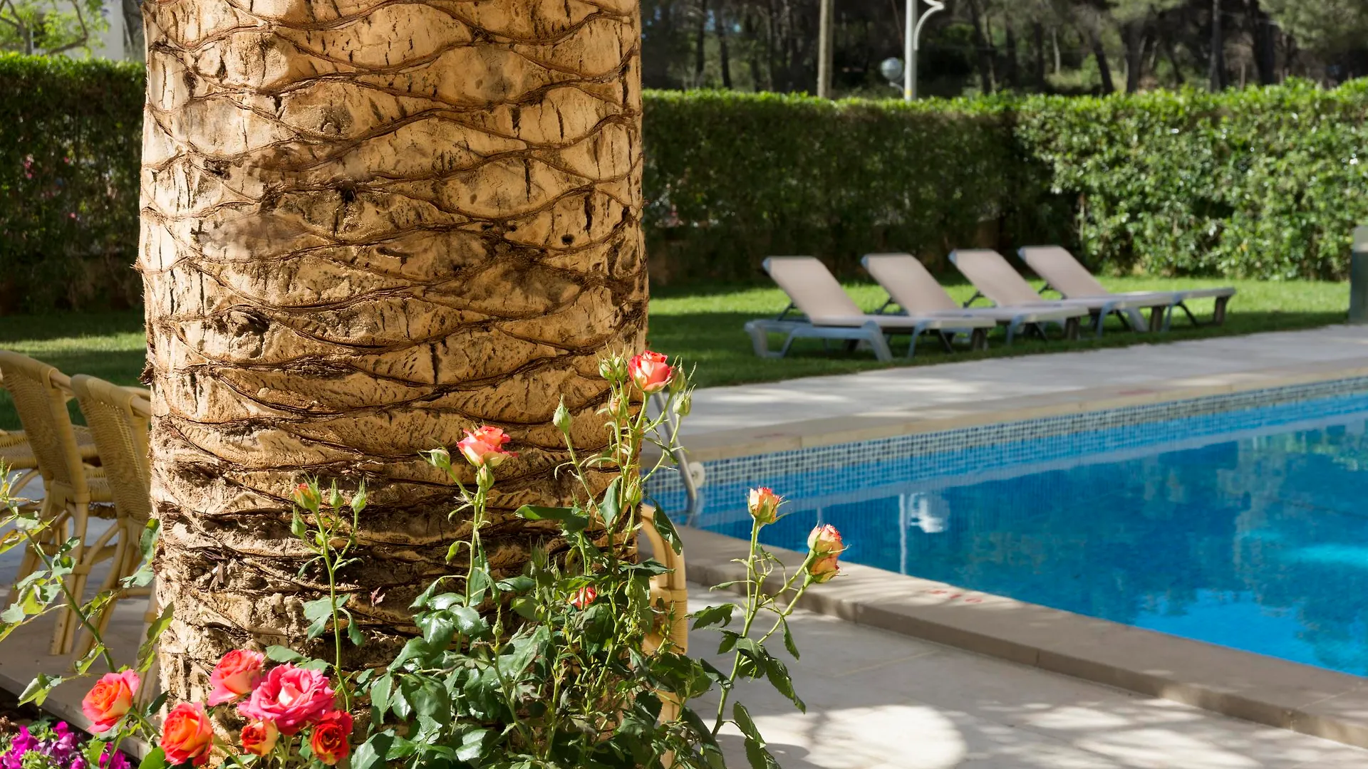 Tres Torres Apartment Playa de Palma  Spain